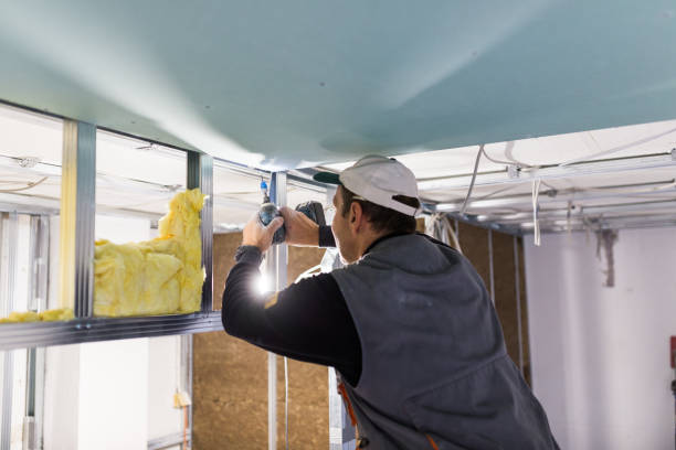 Best Residential Insulation in Smithfield, VA